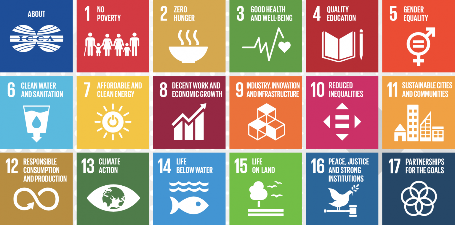 Sustainable Development Goals International Council of Chemical