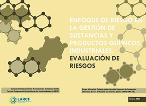 Risk Assessment (Spanish version cover)